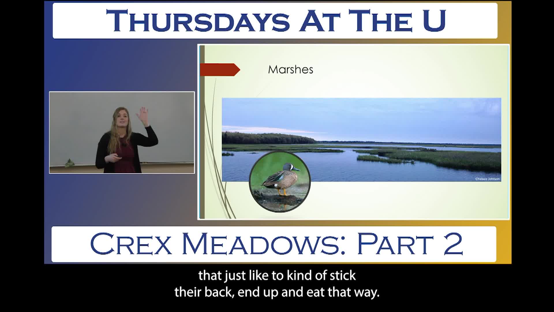 Thumbnail image for Thursdays at the U - 4-24-2025