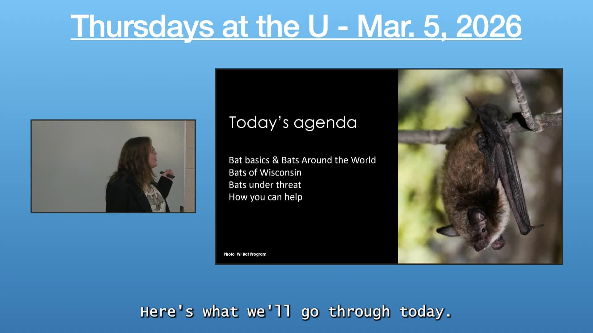 Thumbnail image for Thursdays at the U - 3/5/2026
