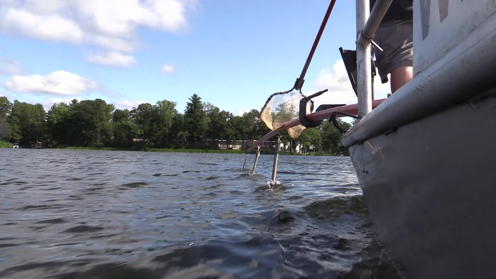 Thumbnail image for ElectroFishing - July 2024