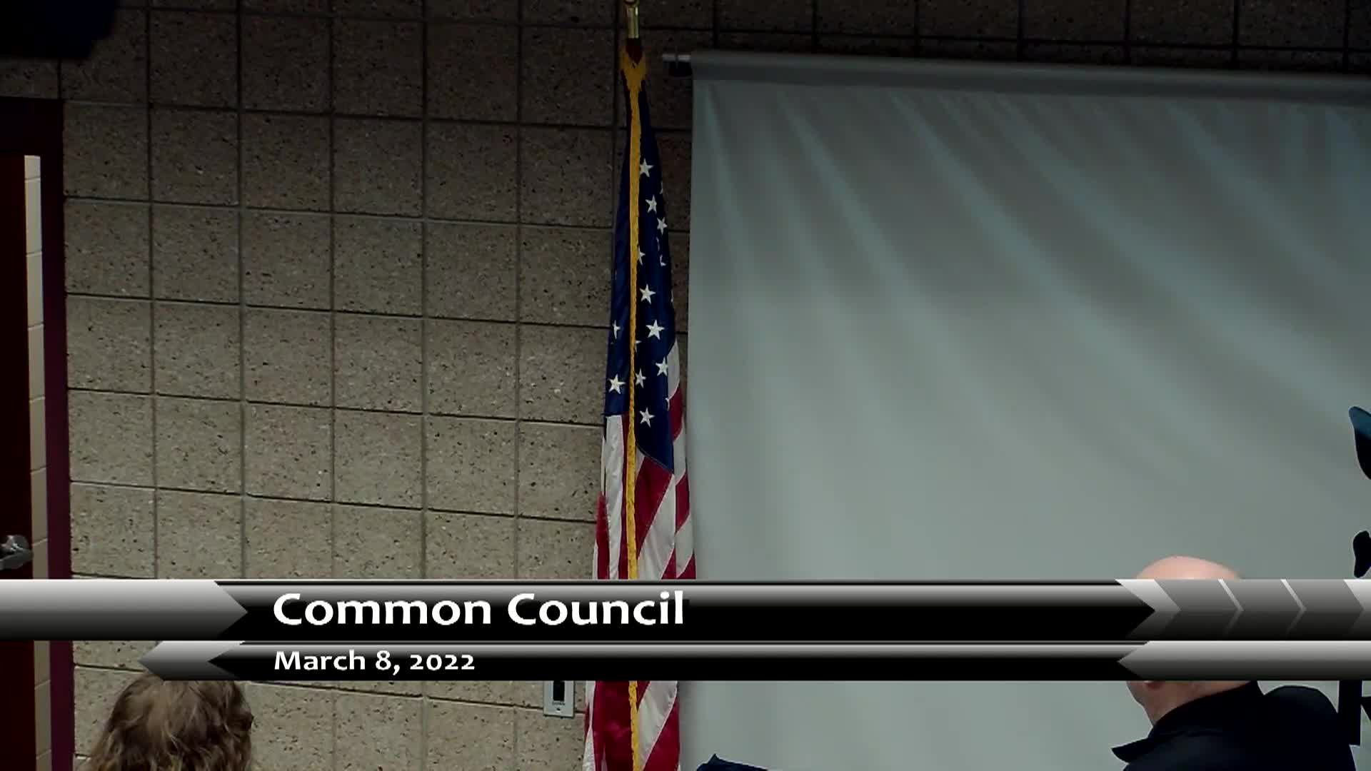 Thumbnail image for Rice Lake Common Council - 3-8-2022